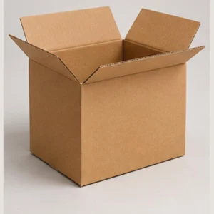 3-Ply Shipping Carton, Medium