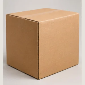 5-Ply Carton, Large