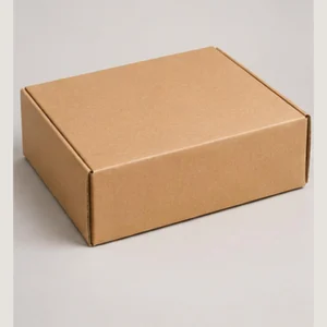 Kraft Mailer Box