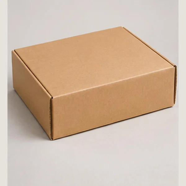 Kraft Mailer Box