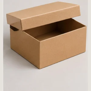 Shoe Box with Lid